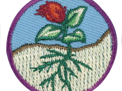 Flowers badge